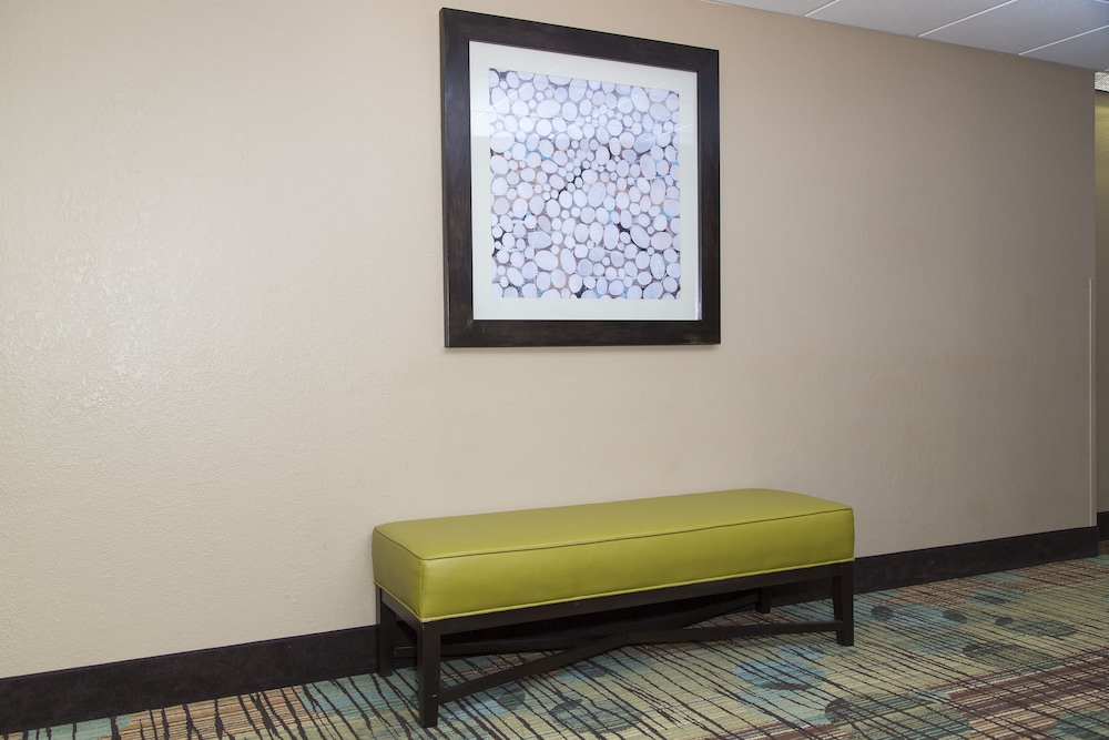 staySky Suites I Drive Orlando - photo 29