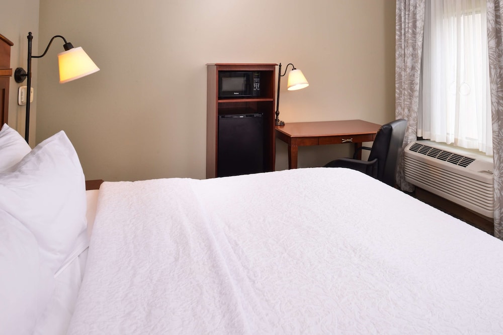 Hampton Inn by Hilton Litchfield - photo 11