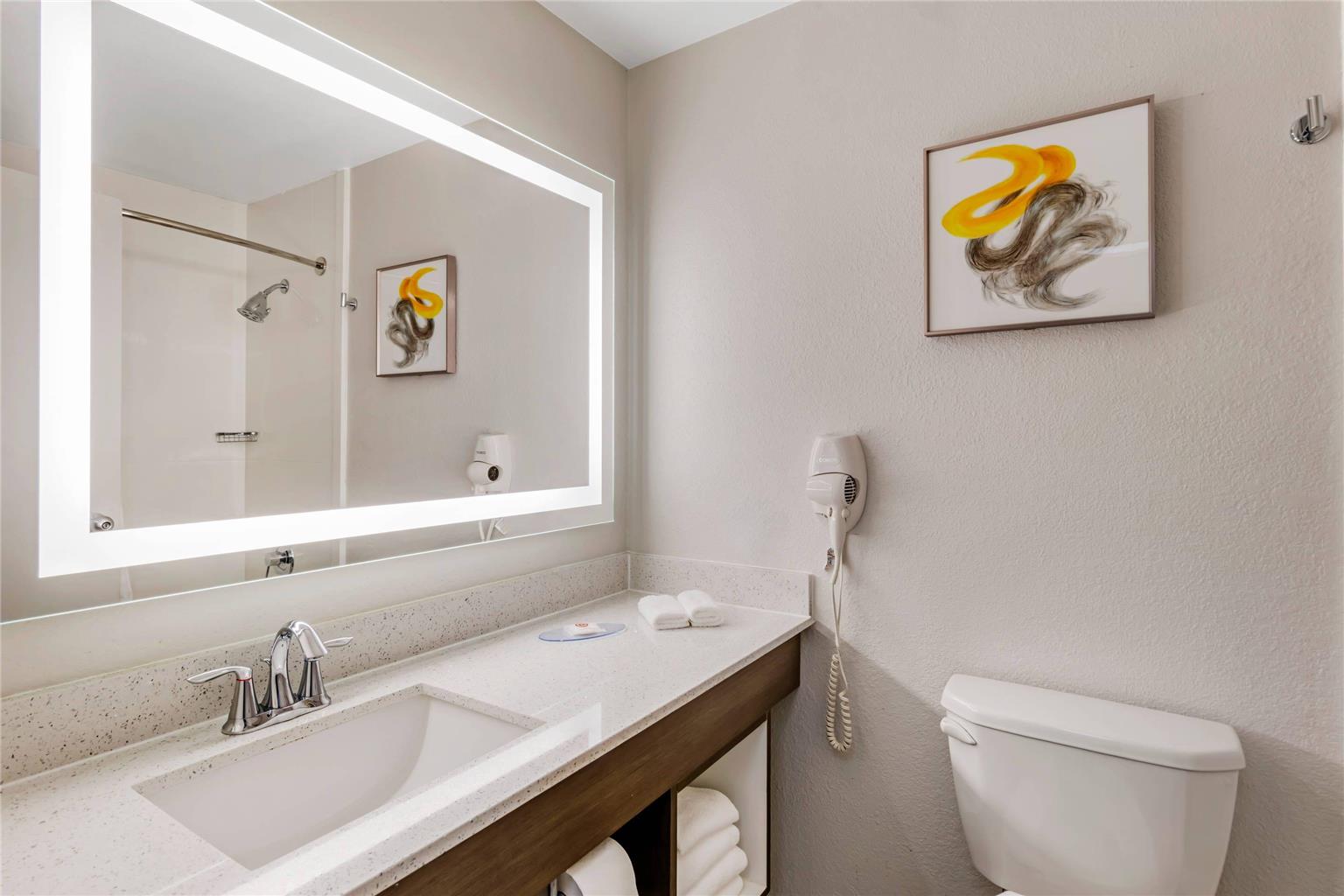 Comfort Inn & Suites Clemson University Area - photo 15