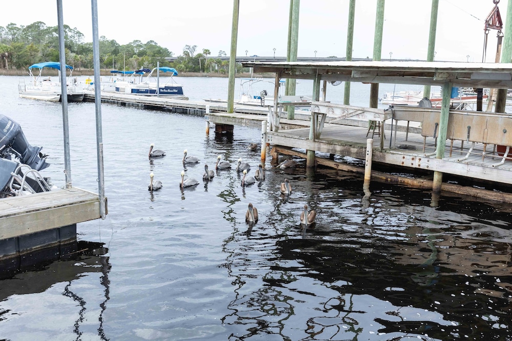 Steinhatchee River Inn - photo 43