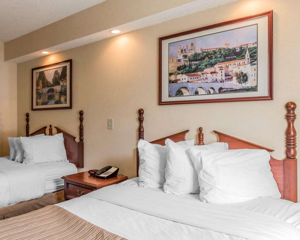 Rodeway Inn Sylacauga Hwy 280 - photo 5