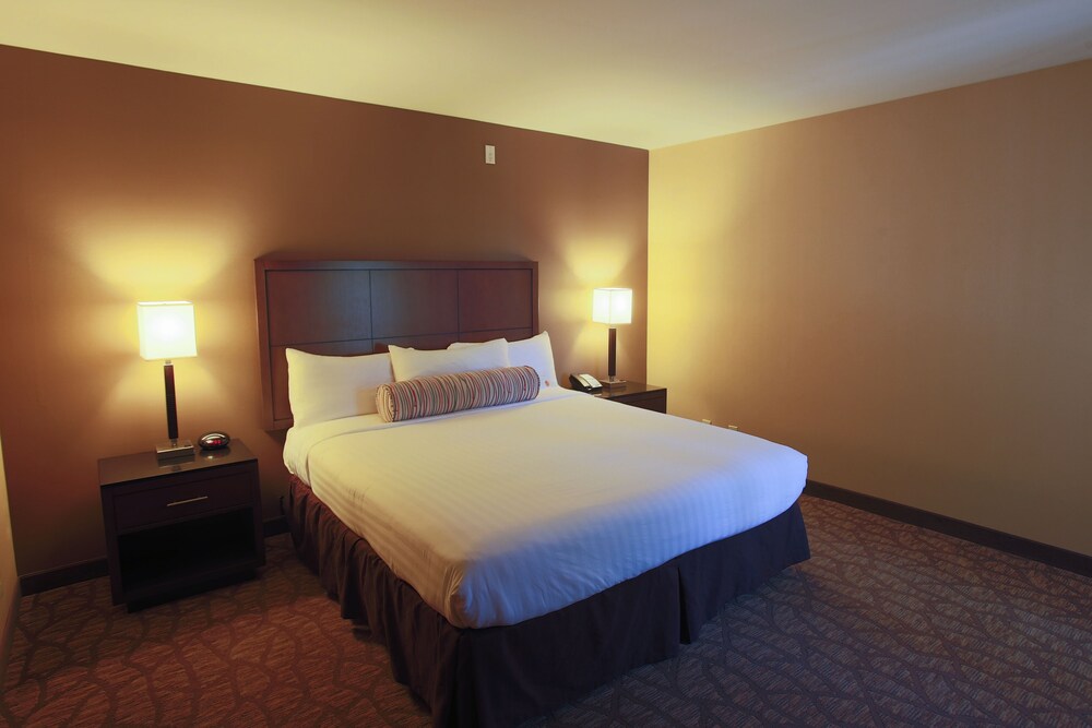 Airtel Plaza Hotel - photo 26