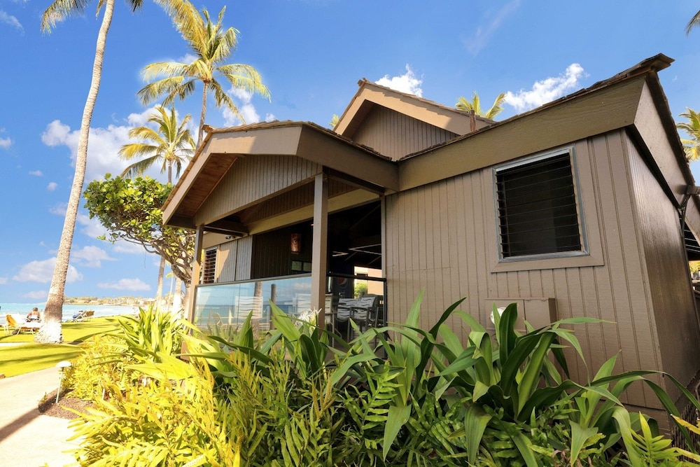 Panoramic Ocean View 1br Condo Suite 150 Feet From The Ocean At Papakea Ocean Front Resort 1 Bedroom Condo by RedAwning - photo 34