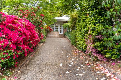 Lynwood Gardens — Blackheath — photo 5