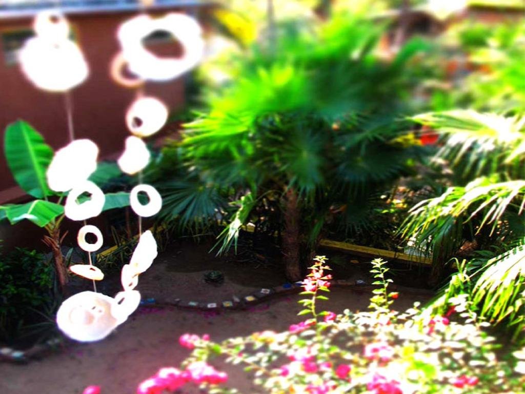 Posada Paloma in Santa Maria Tonameca, Mexico