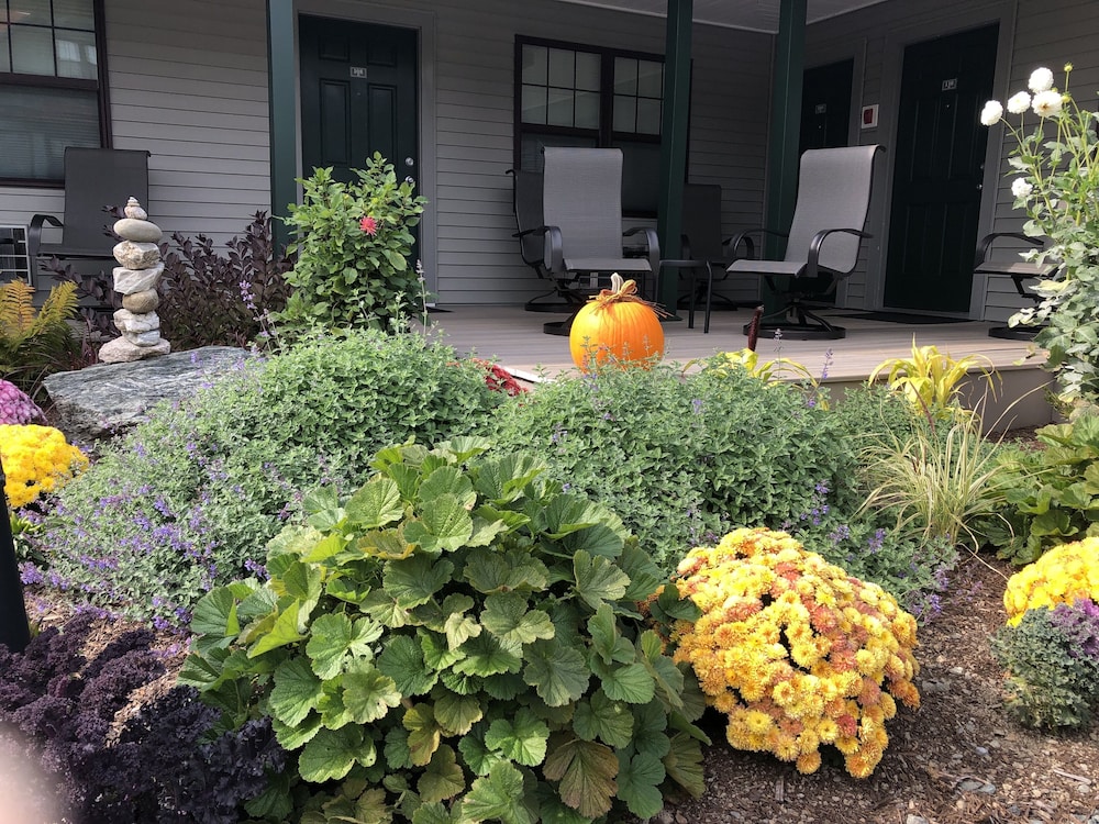 Island Place - photo 9