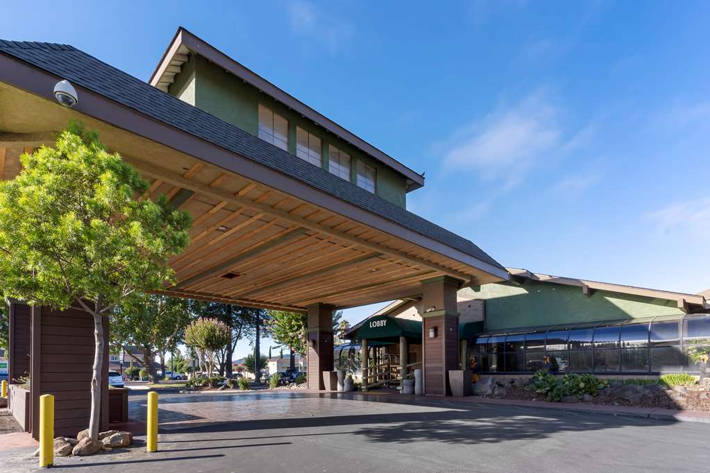Best Western Plus Forest Park Inn - photo 16