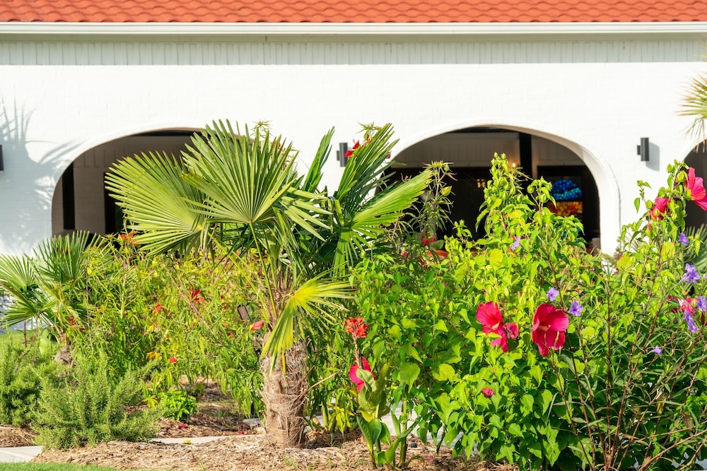 La Palmilla Texas - photo 114