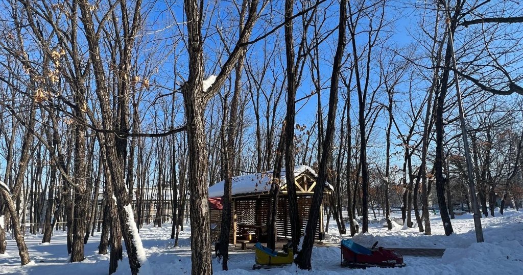 Dubravushka in Arsen'yev, Russia