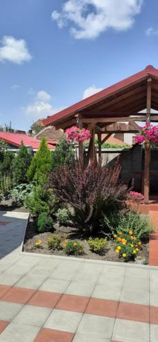 La Principessa in Oradea, Romania