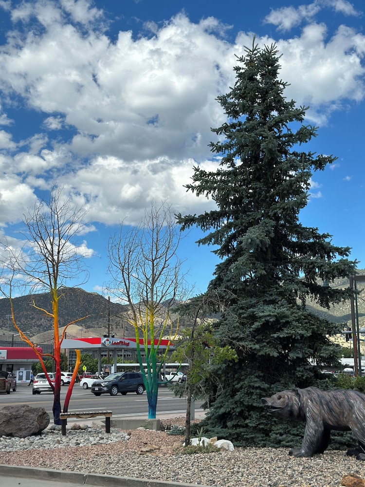 Browns Canyon Inn - photo 95