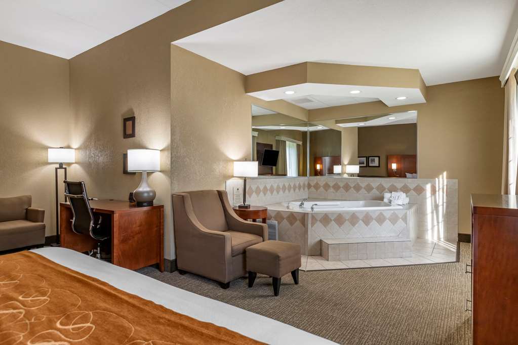 Comfort Suites Grand Rapids South - photo 12