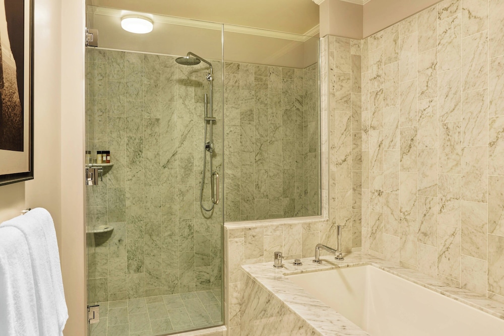 Palace Hotel a Luxury Collection Hotel San Francisco - photo 40