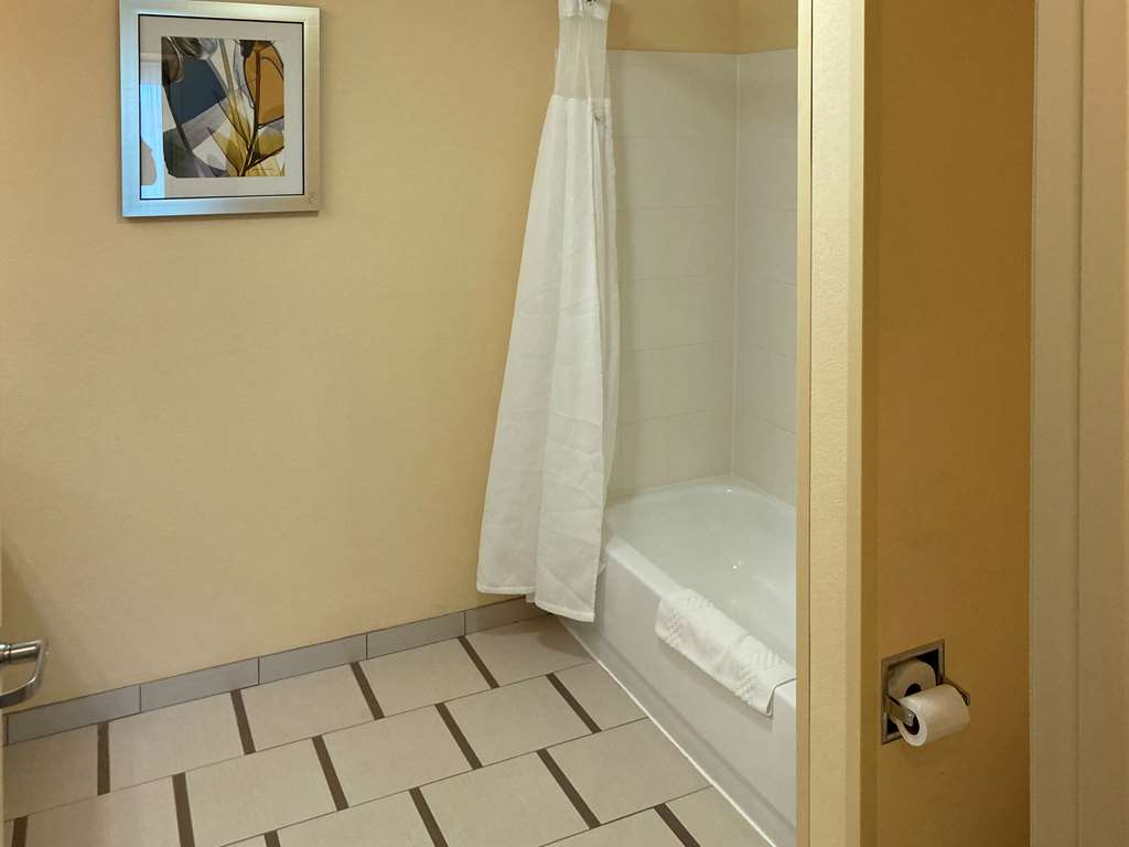 Comfort Inn & Suites Ankeny Des Moines - photo 10