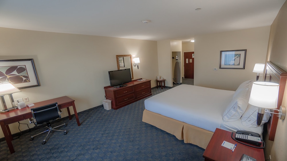 Holiday Inn Express & Suites Pampa by IHG - photo 20