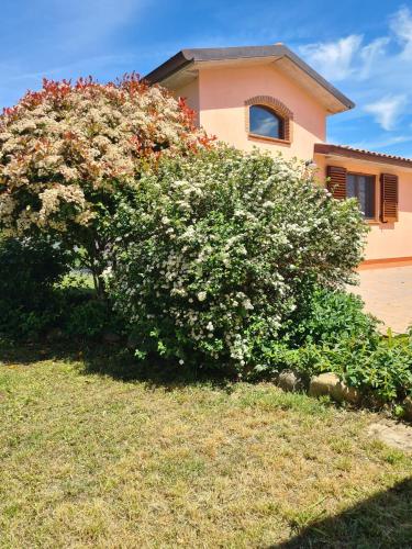 Montepulciano la Casetta Del Pian Delle Noci in Montepulciano, Italy