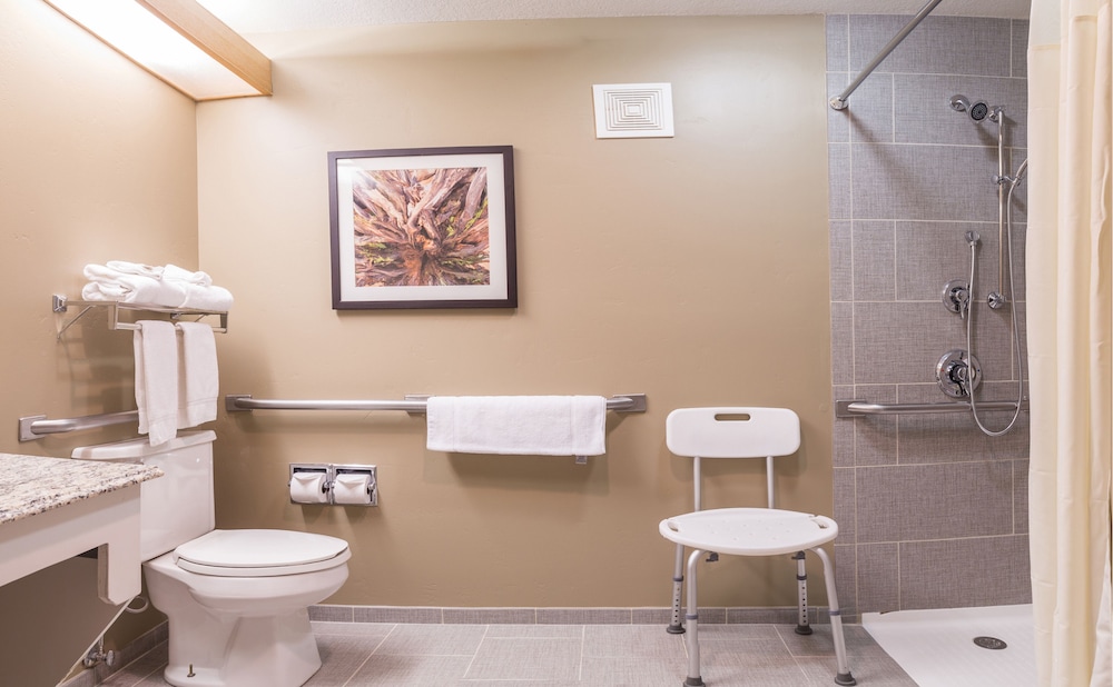 Gray Wolf Inn & Suites - photo 20