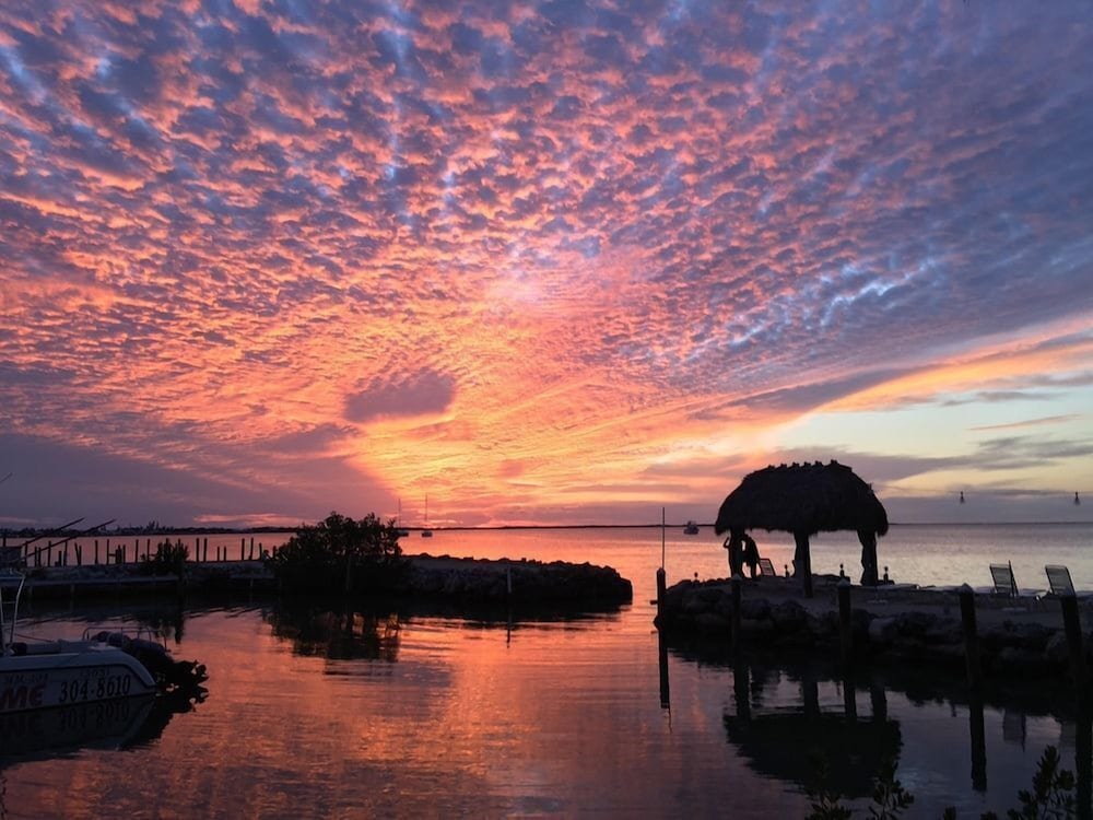 Amoray Dive Resort - photo 2