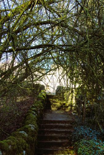 The Beautiful Bobbin Premium Cottage with views local walks wood burner & pubs — 4-Star Luxury Hotel in Tideswell, United Kingdom