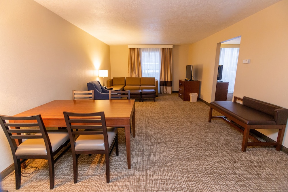 Comfort Inn Salt Lake City Downtown - photo 47