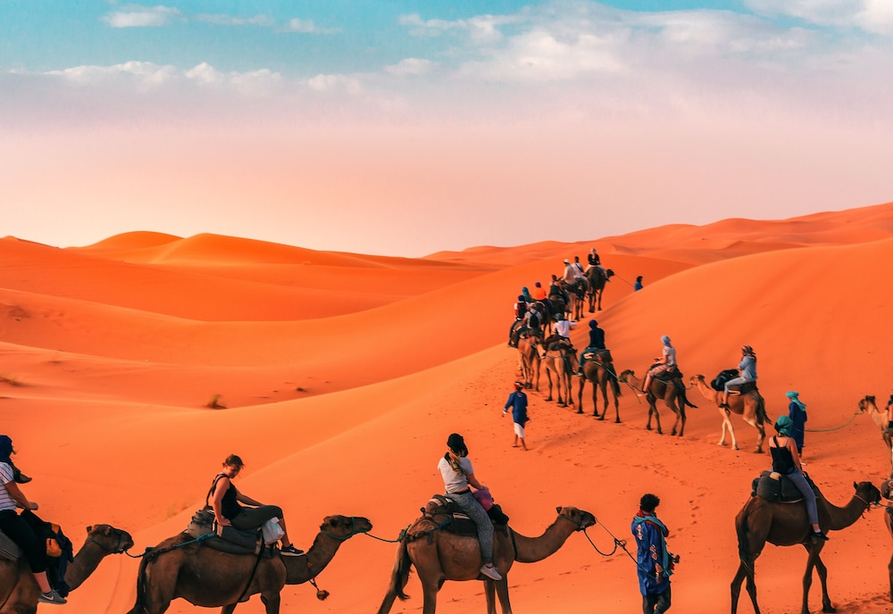 Morocco Bivouac Discoveries in Zagora, Morocco