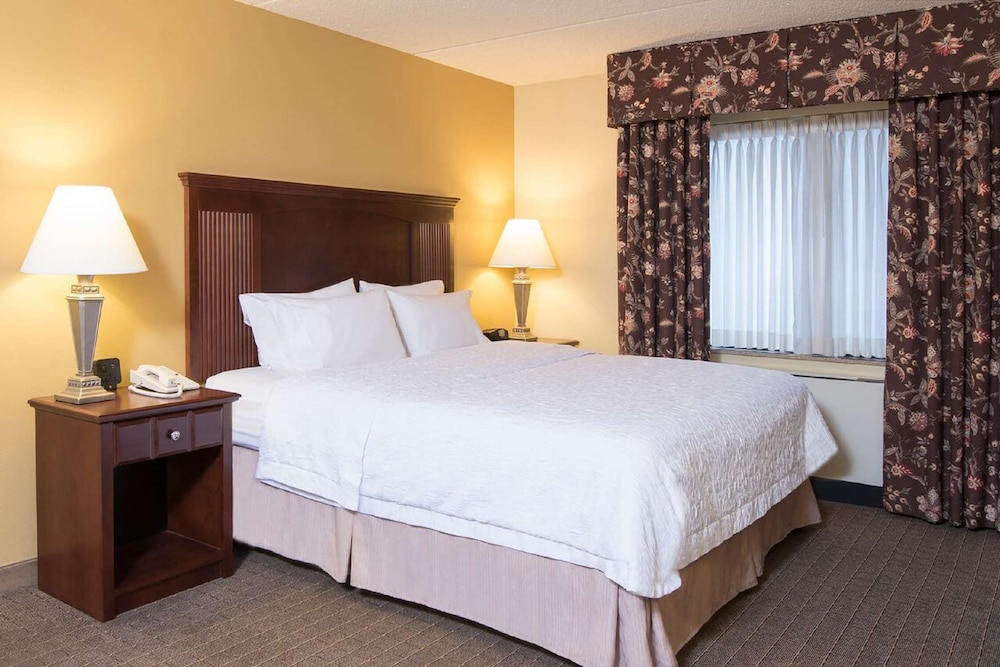 Hampton Inn Schenectady Downtown - photo 15