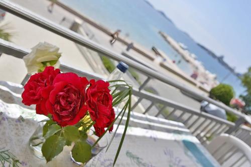 Wilma Apartment — 4-Star Luxury Hotel in Vodice, Croatia