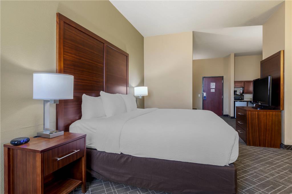 Comfort Suites Waco North Near University Area - photo 12