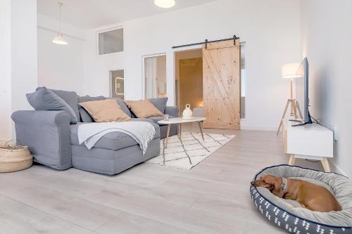 Homey apt CA3mpeta — 4-Star Luxury Hotel in Competa, Spain
