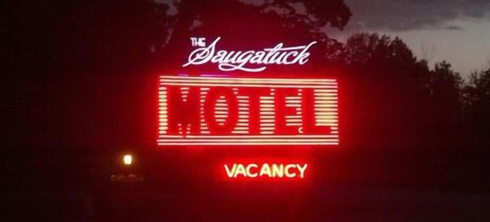 The Saugatuck Retro Resort Motel in Holland, United States