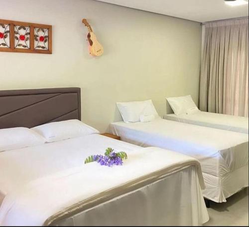 Mirante Do Cerrado in Nobres, Brasil