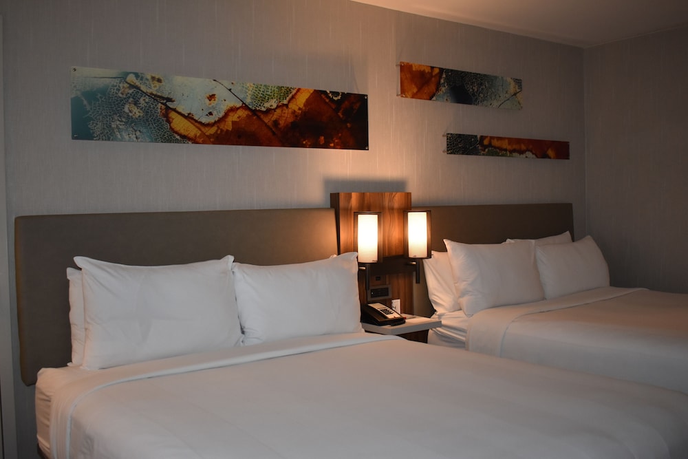 Chicago Marriott Oak Brook - photo 12