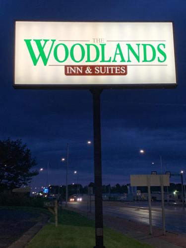 Woodlands Inn & Suites - photo 37