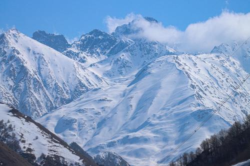 Cottage Aisi კოტეჯი აისი