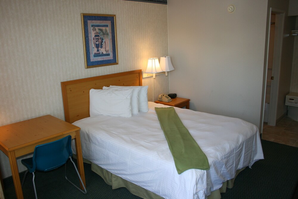 Bay Inn and Suites at Seaworld - photo 16