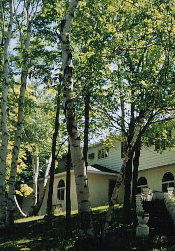 White Birch Inn — Sturgeon Bay