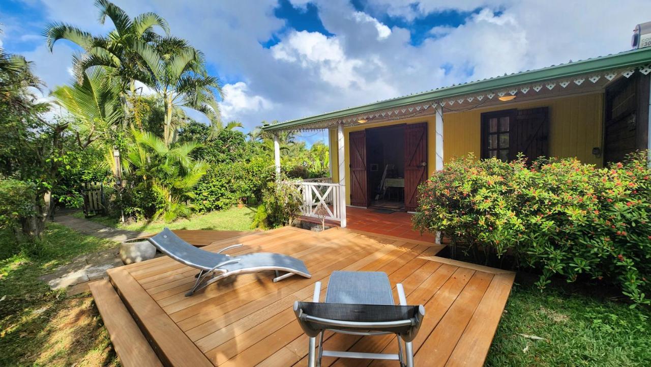 L’Aquilegia in Saint-Joseph, Réunion