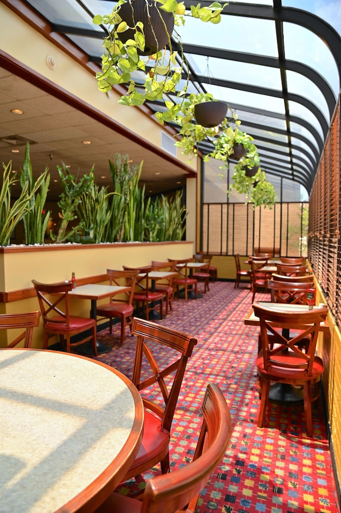 MCM Eleganté Hotel & Suites - photo 37