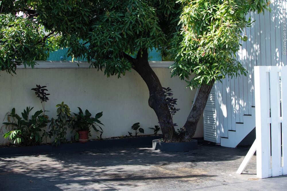 Incognito Vacation Stays in Kingston, Jamaica