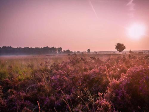 Calming Hideaway in Veluwe in Voorthuizen, Netherlands