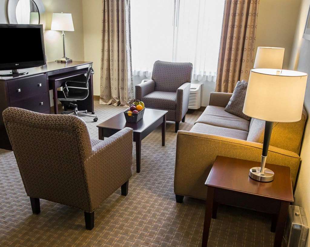 Comfort Suites University Area Notre Dame South Bend - photo 15