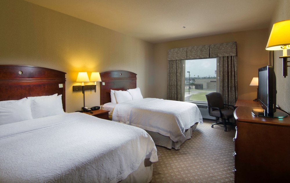 Hampton Inn & Suites Brownsville - photo 6