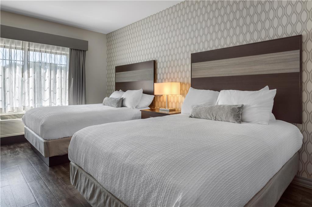 Best Western Plus Saint Peter - photo 19