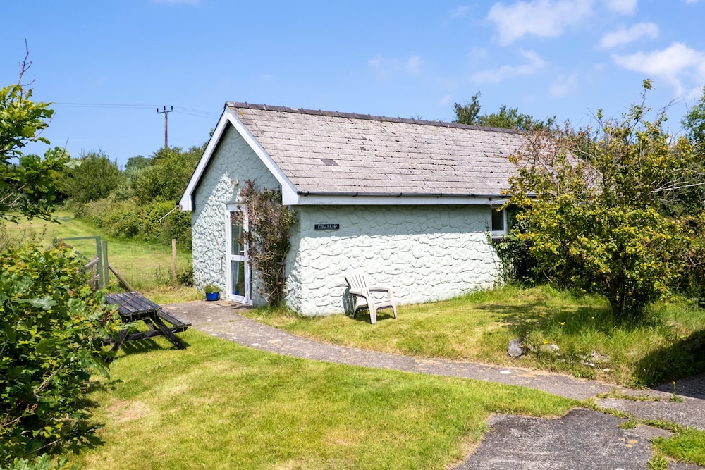 Cowslip at Gorslwyd Sound Retreat in Cardigan, United Kingdom
