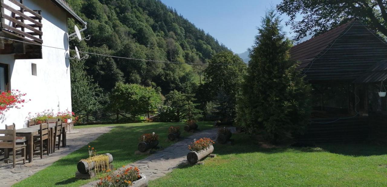 Cabana Valea Sadului — Rau Sadului — photo 4