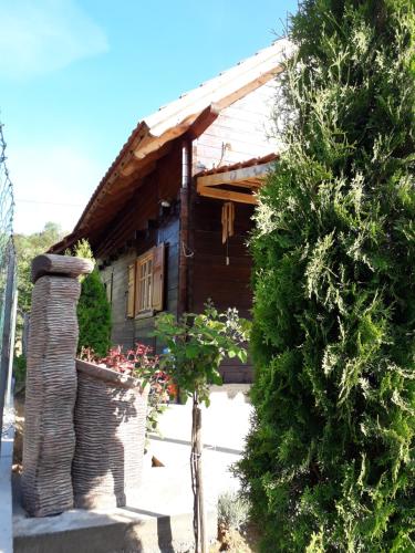 Stara Planina Stankovic — Pirot — photo 5
