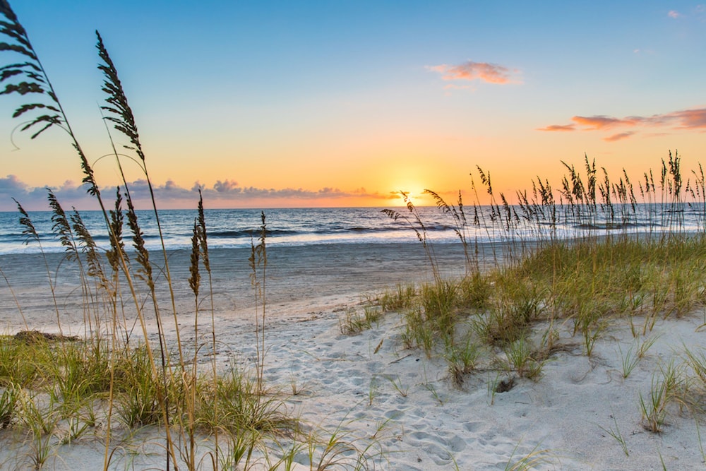 SpringHill Suites by Marriott Amelia Island - photo 41
