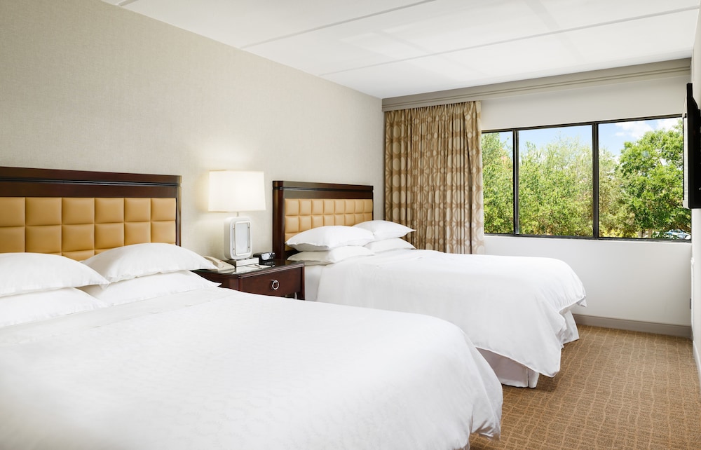 Sheraton Suites Orlando Airport - photo 10