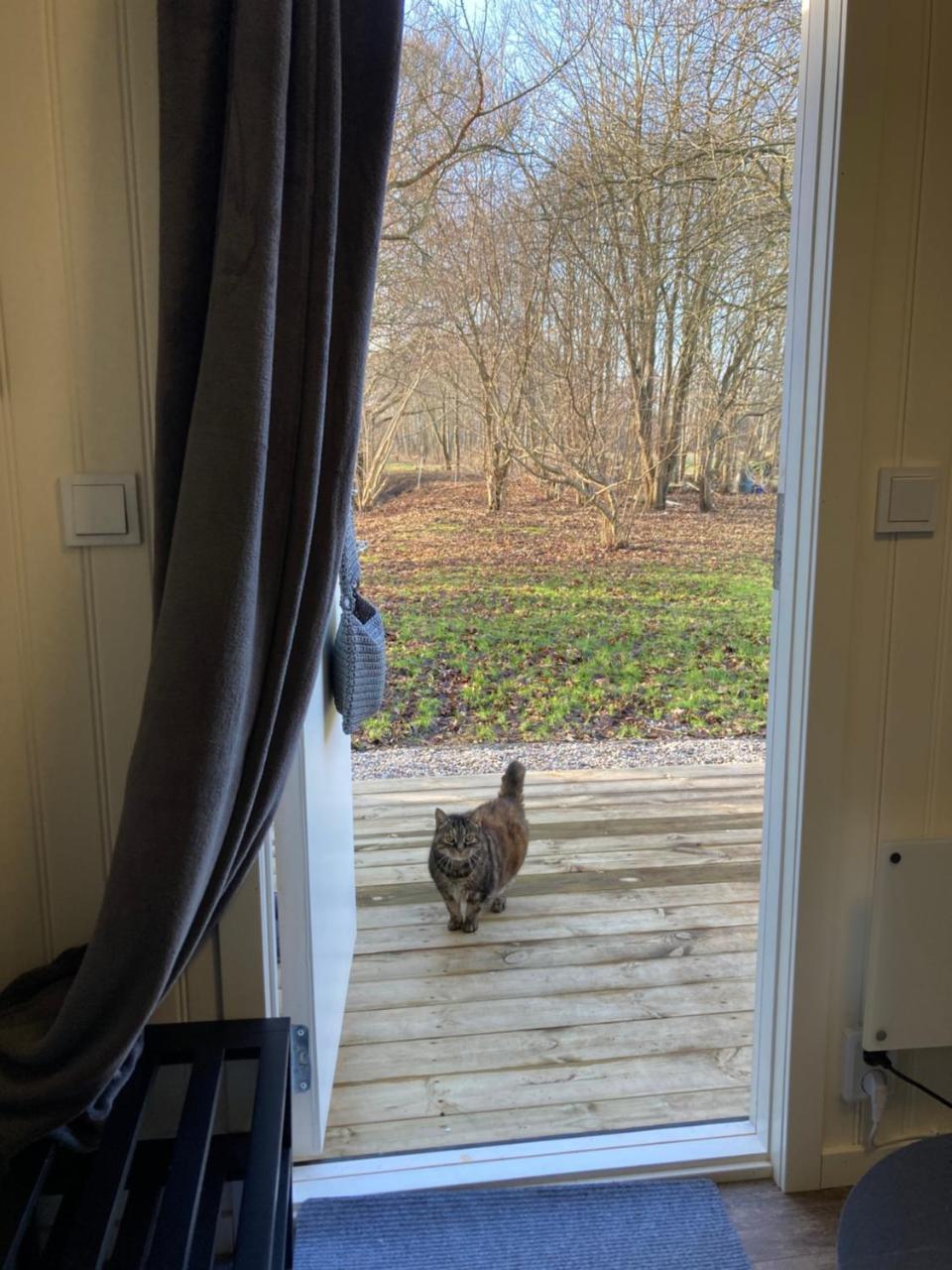 Mysig ministuga på privat läge landet — hotel in Blentarp
