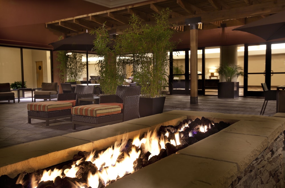 Hilton Concord - photo 39